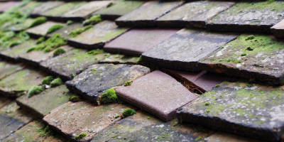 Ramsden roof repair costs